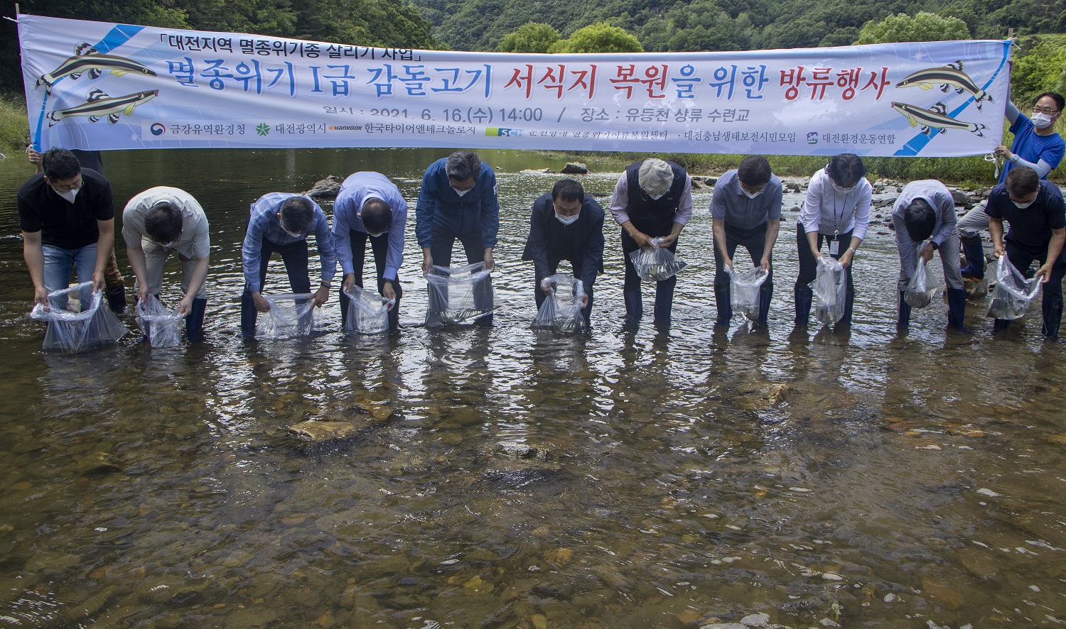 한국타이어대전유등천멸종위기종감돌고기방류행사1